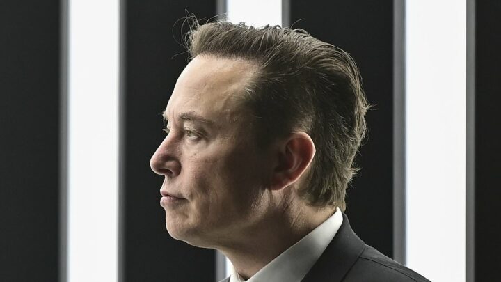 &apos;These damn birds have to go&apos;: Biographer lifts the lid on Elon Musk